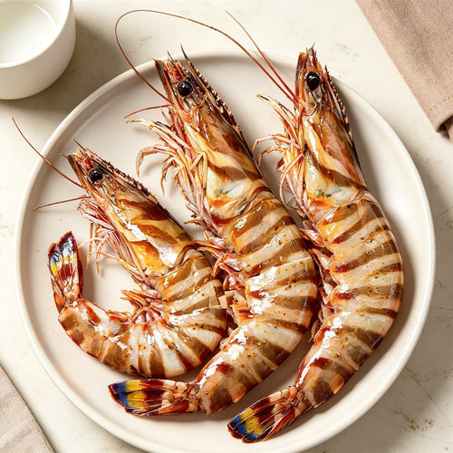 Fresh Large Royal Tiger Prawns